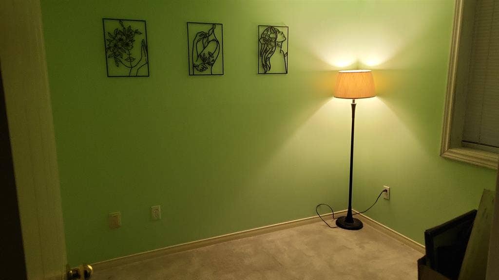 Roommate needed