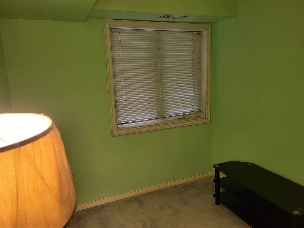 Roommate needed