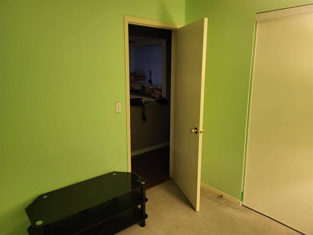 Roommate needed
