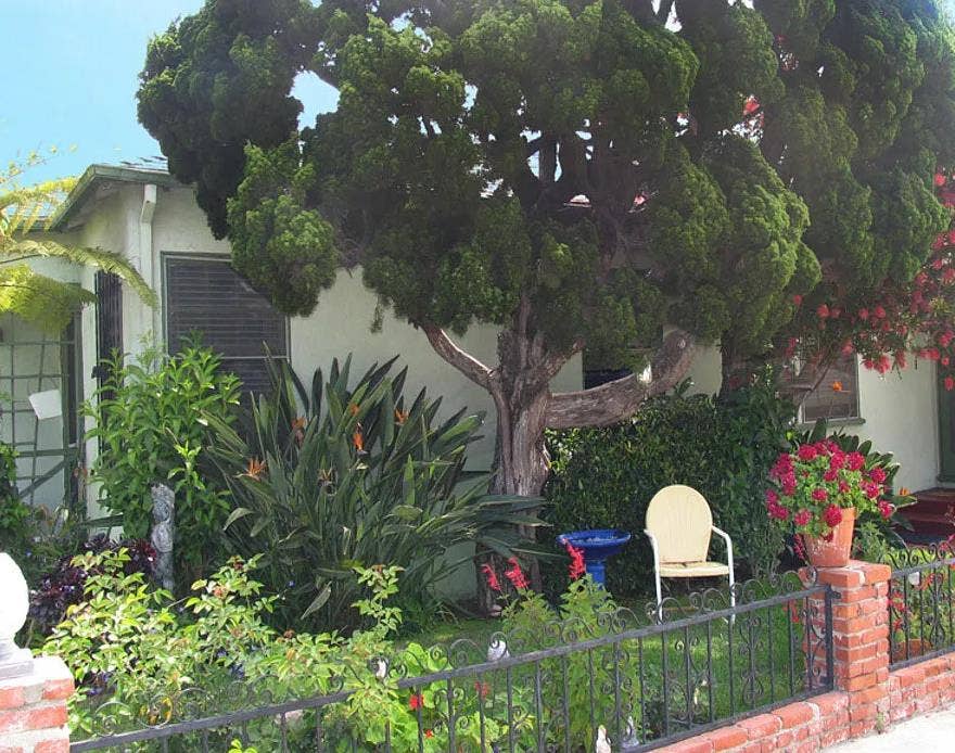 SUBLET - Bungalow Jun 1-Nov1 or Jan