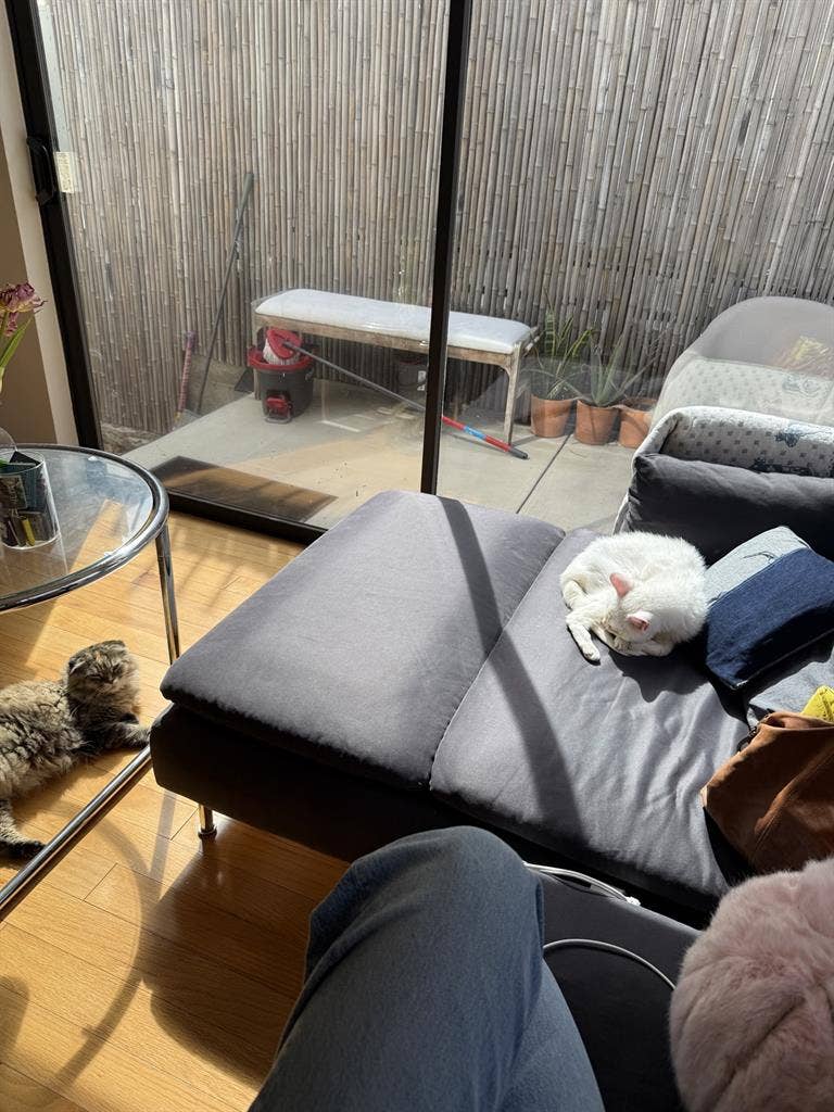 Looking for female roommate