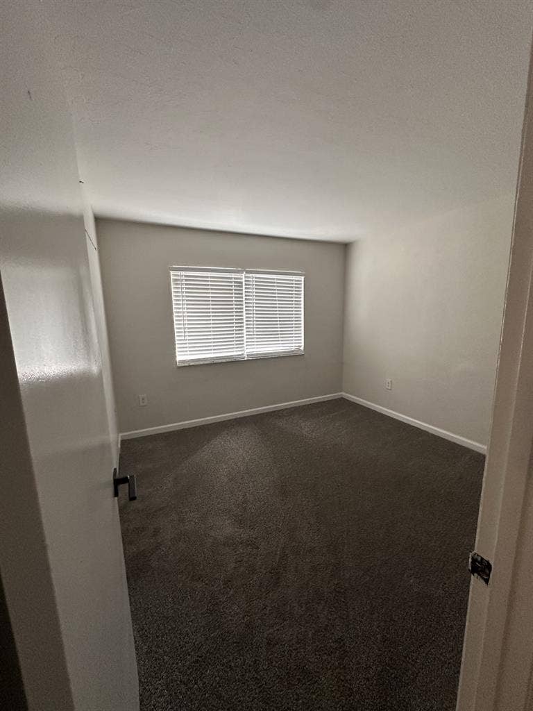 Looking for a roommate!!!