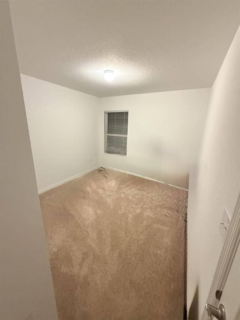Quiet, respectful roommate