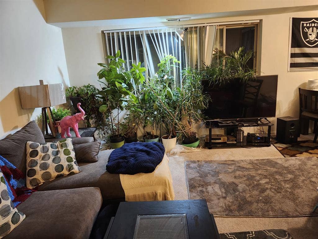LARGE ROOM 3RD FL 2 BEDROOM APT