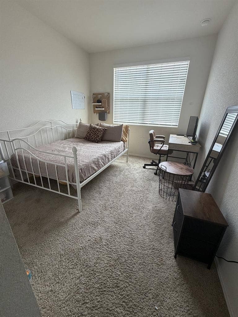 Private Room/ East Austin-6 Mo