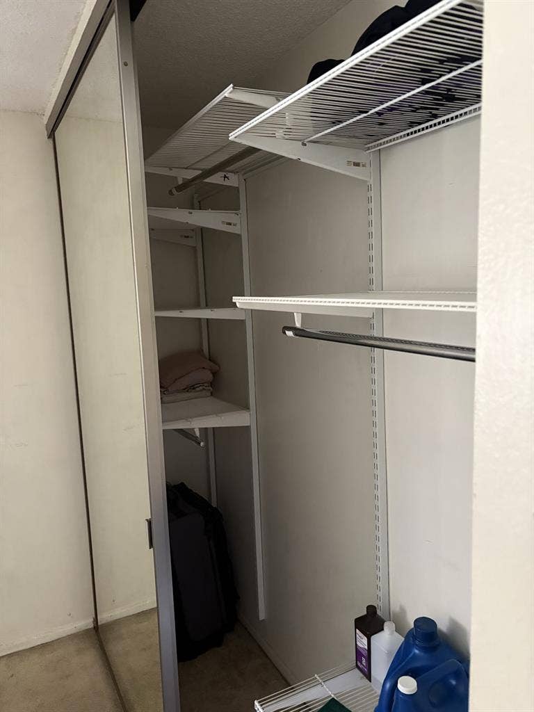 Shared Apartment CSULB students