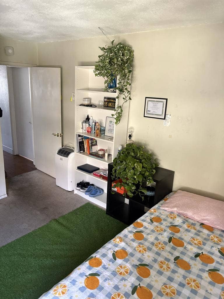 Shared Apartment CSULB students