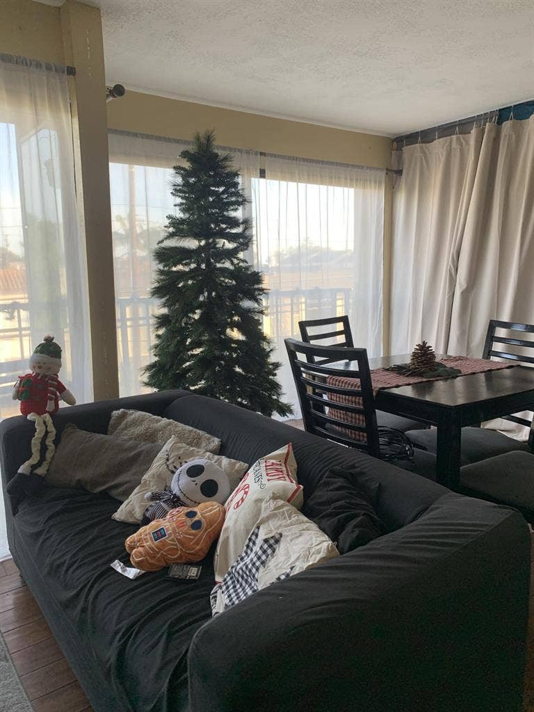 Shared Apartment CSULB students