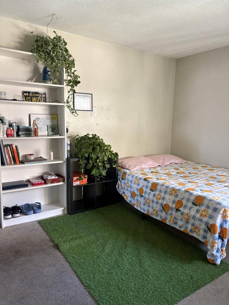 Shared Apartment CSULB students