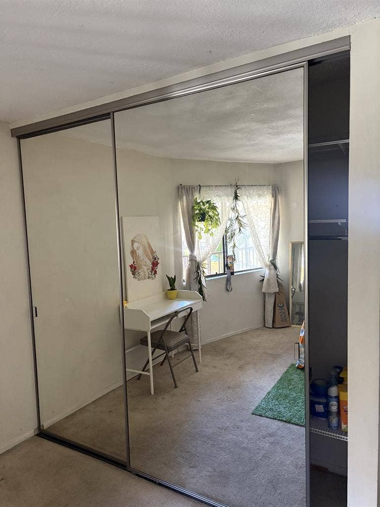 Shared Apartment CSULB students