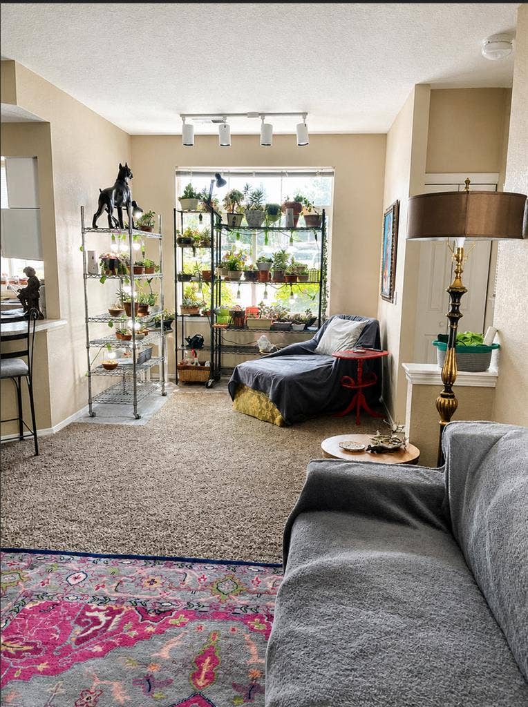 Beautiful large bedroom available