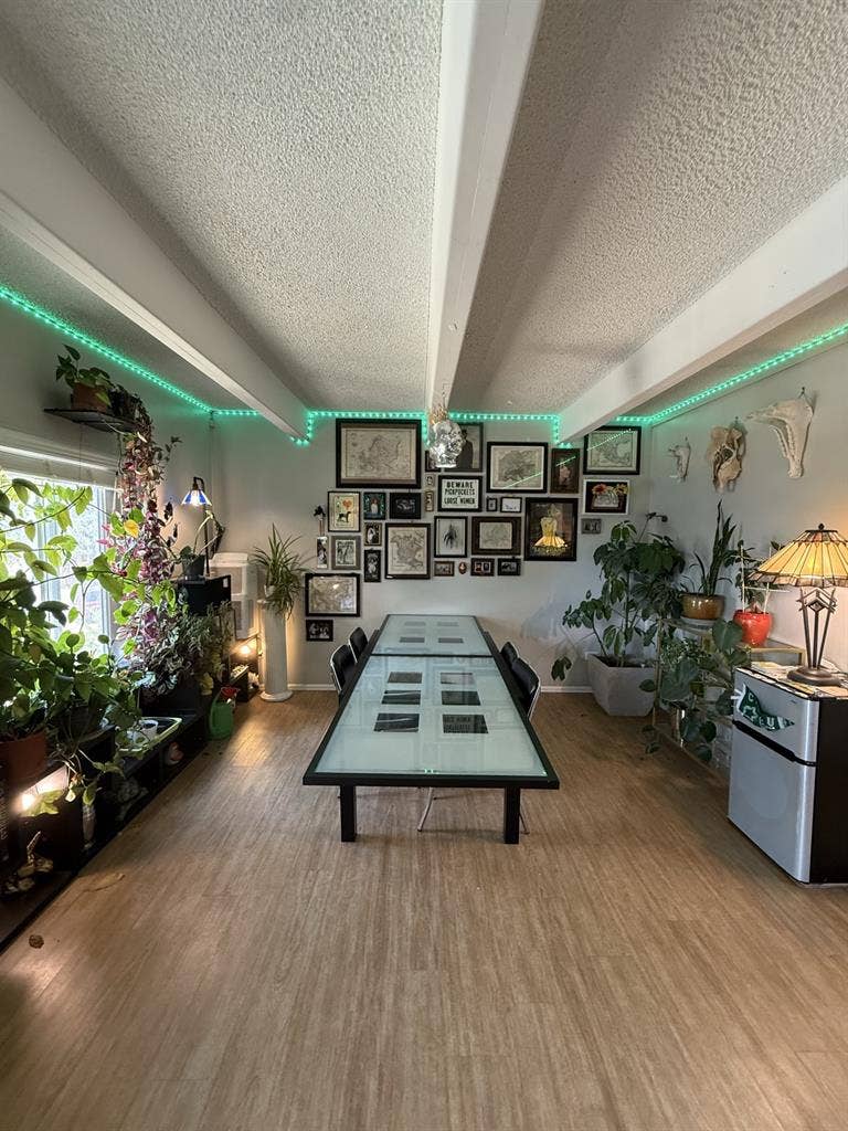 Roommate Needed