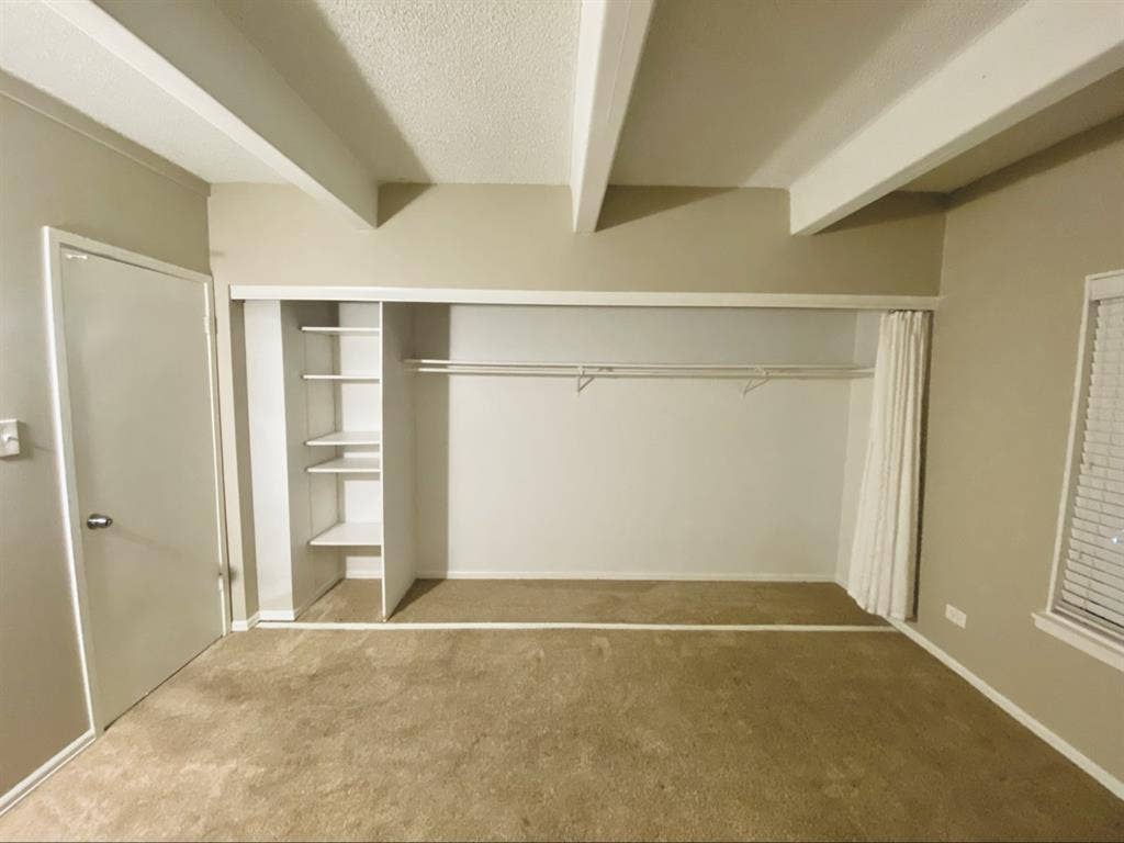 Roommate Needed