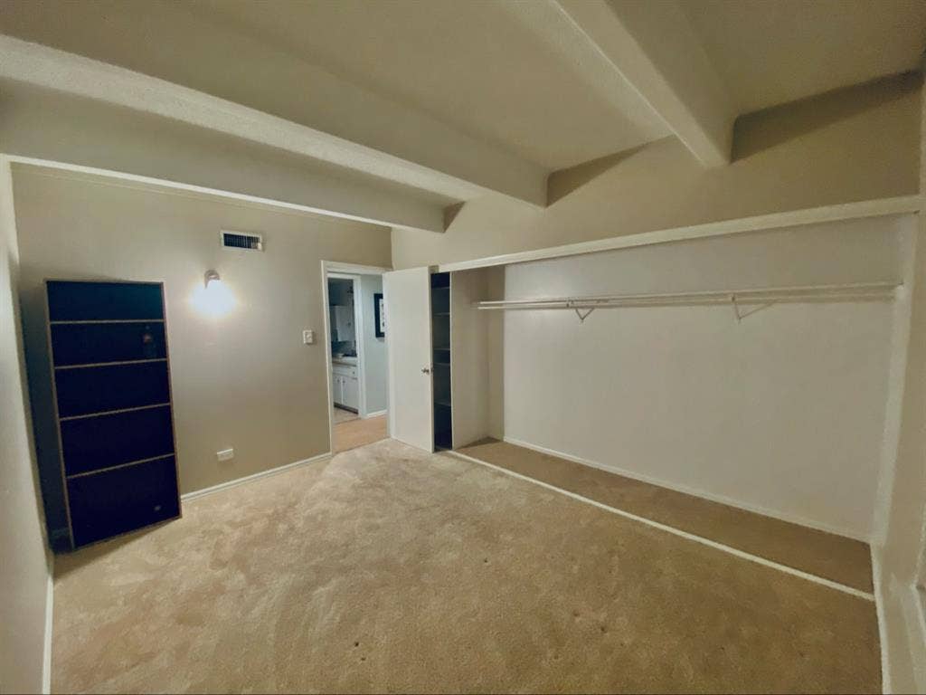 Roommate Needed
