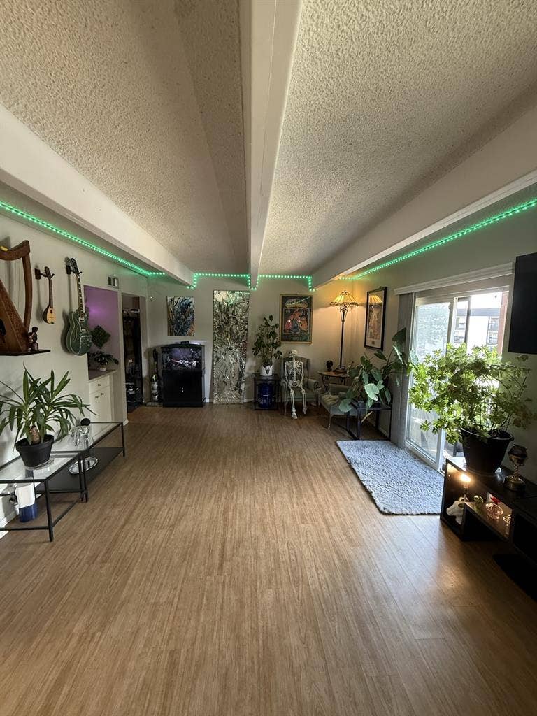 Roommate Needed