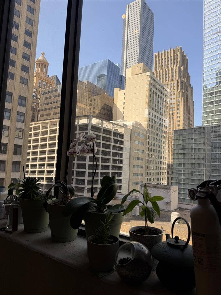 Room in center of downtown loft 🌇