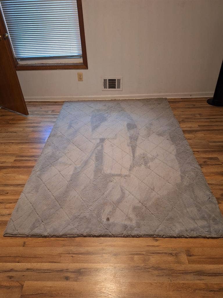 Roommate to Share a Peaceful Home