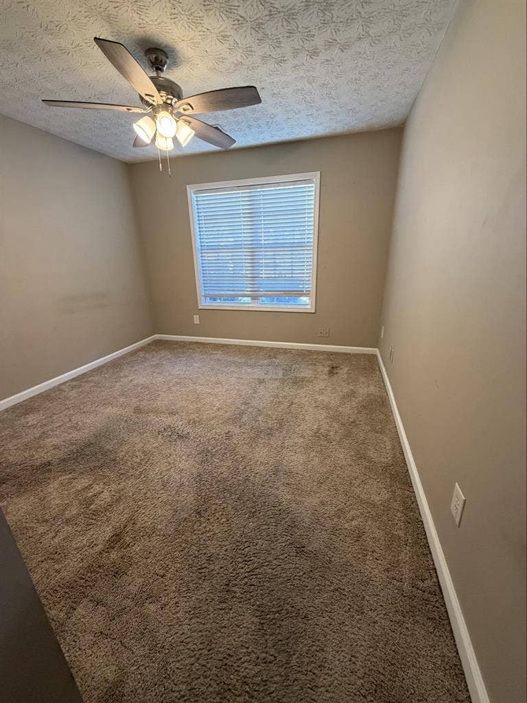 Roommate in Lawrenceville