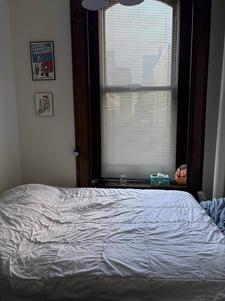 Roommate needed!