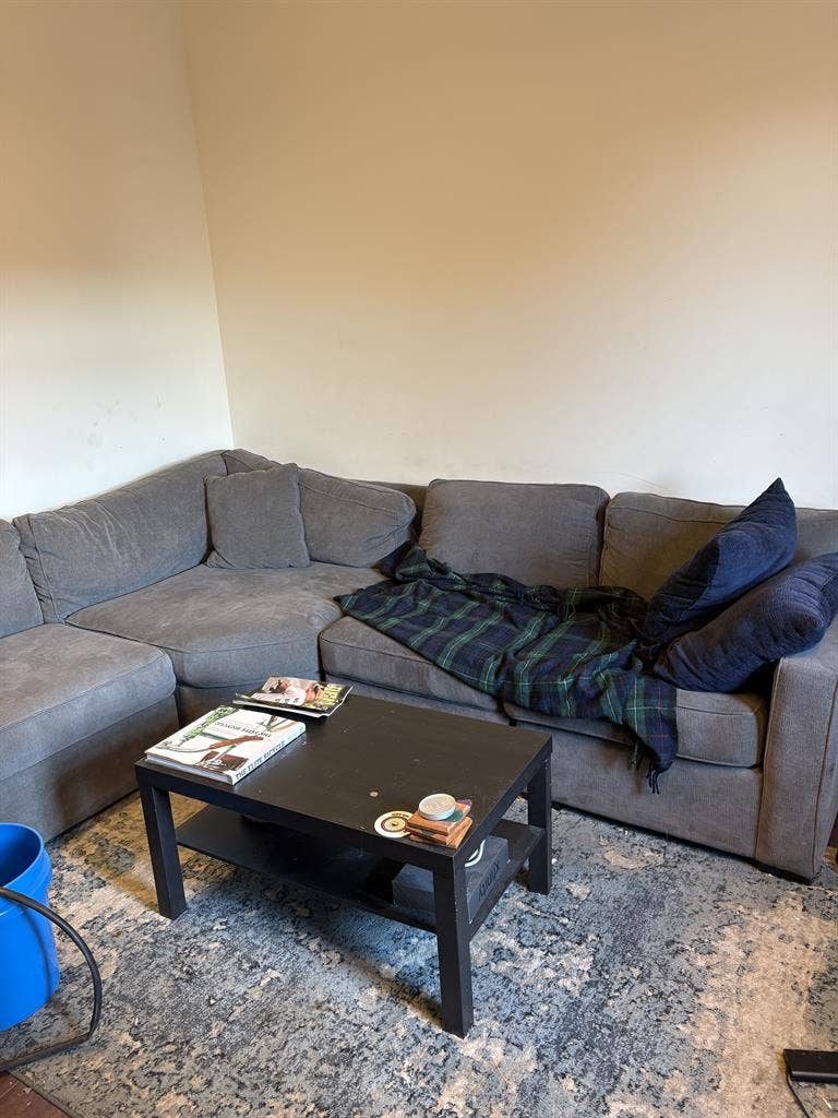 Roommate needed!