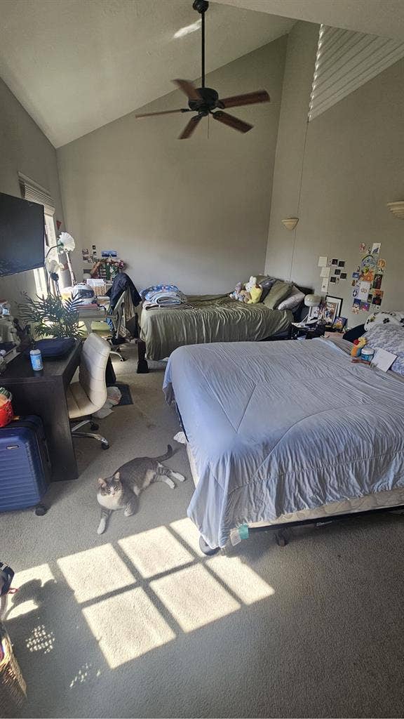 Sublease a room for summer