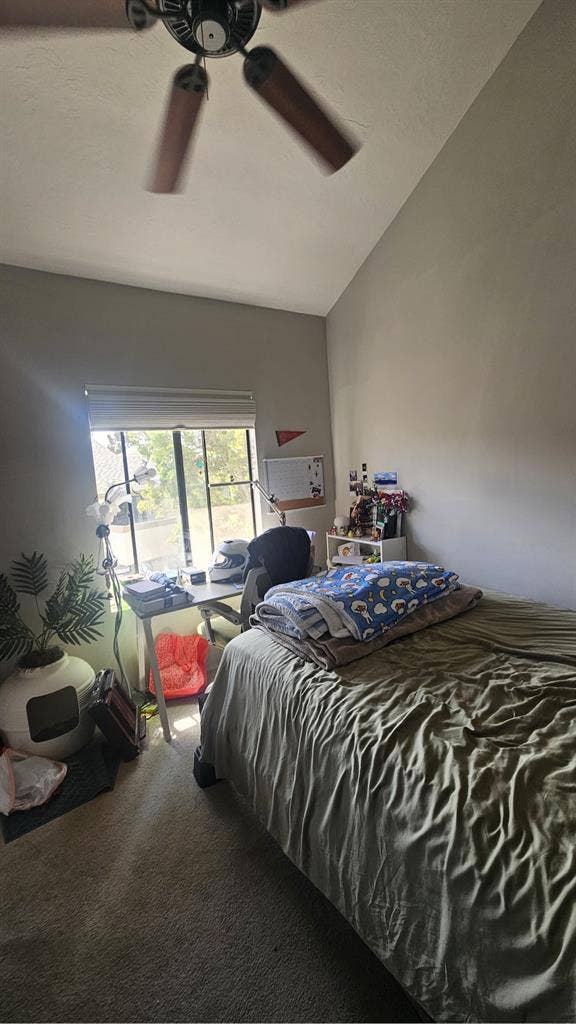 Sublease a room for summer
