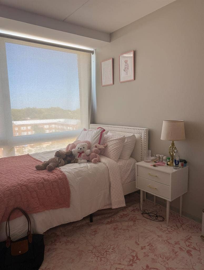 SUMMER SUBLET AT THE LINK EVANSTON