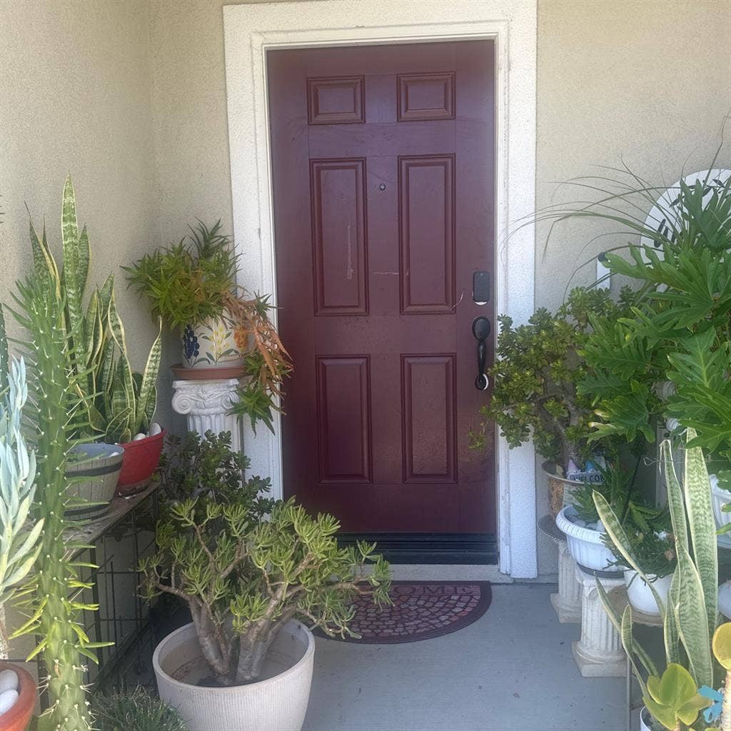 Need female tenant