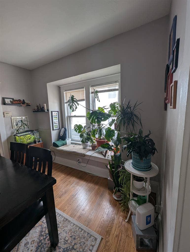 Cozy, Artsy Home