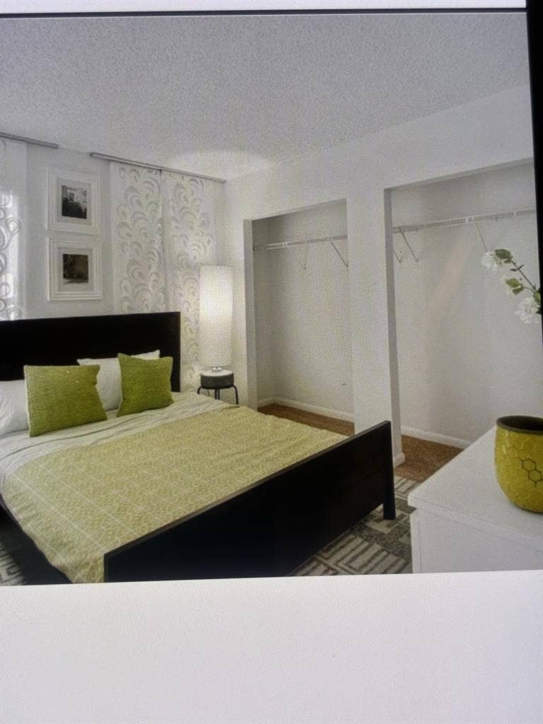 Roommate wanted!