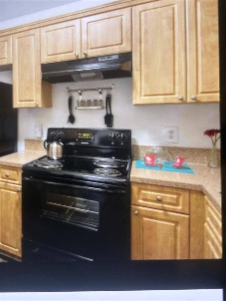 Roommate wanted!