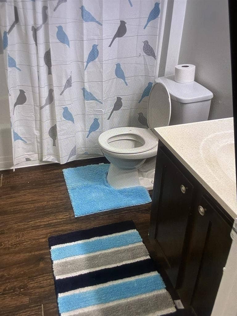 Roommate wanted!