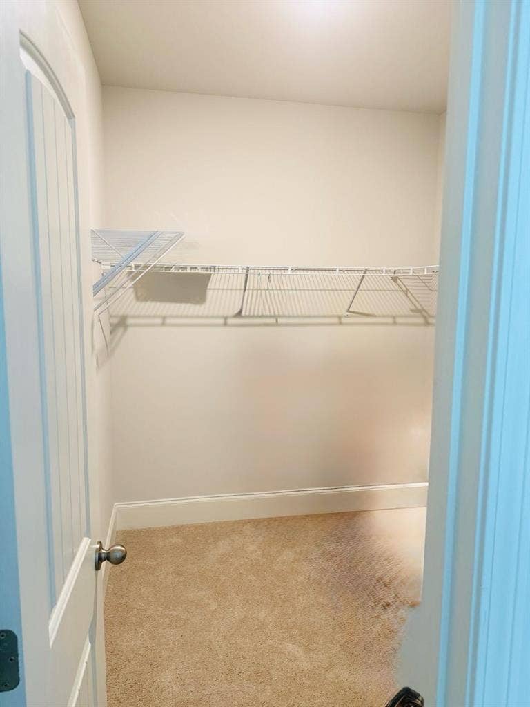 Spacious Private Room and Bathroom