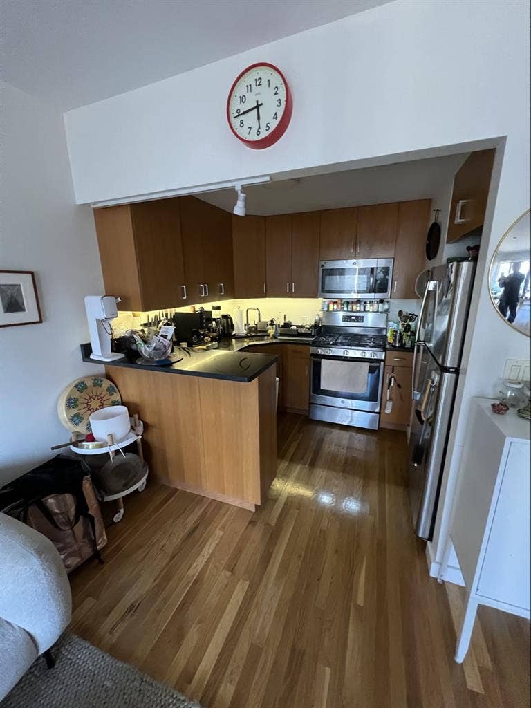 furnished room and bath in bk