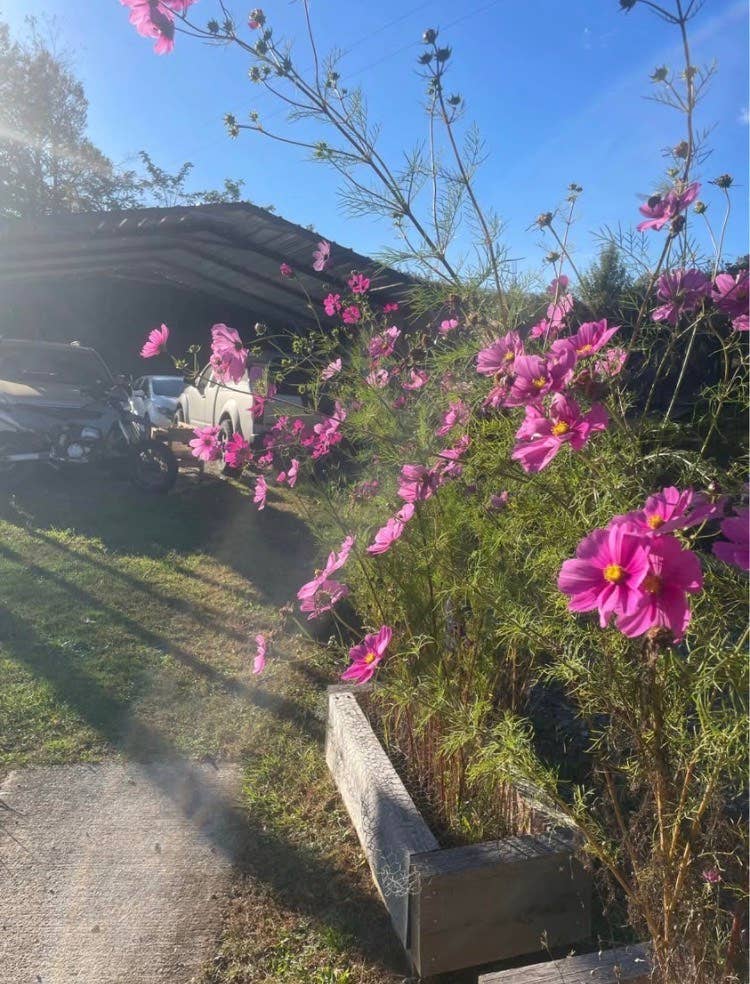 2 bed 1 bath sublease - Boone NC