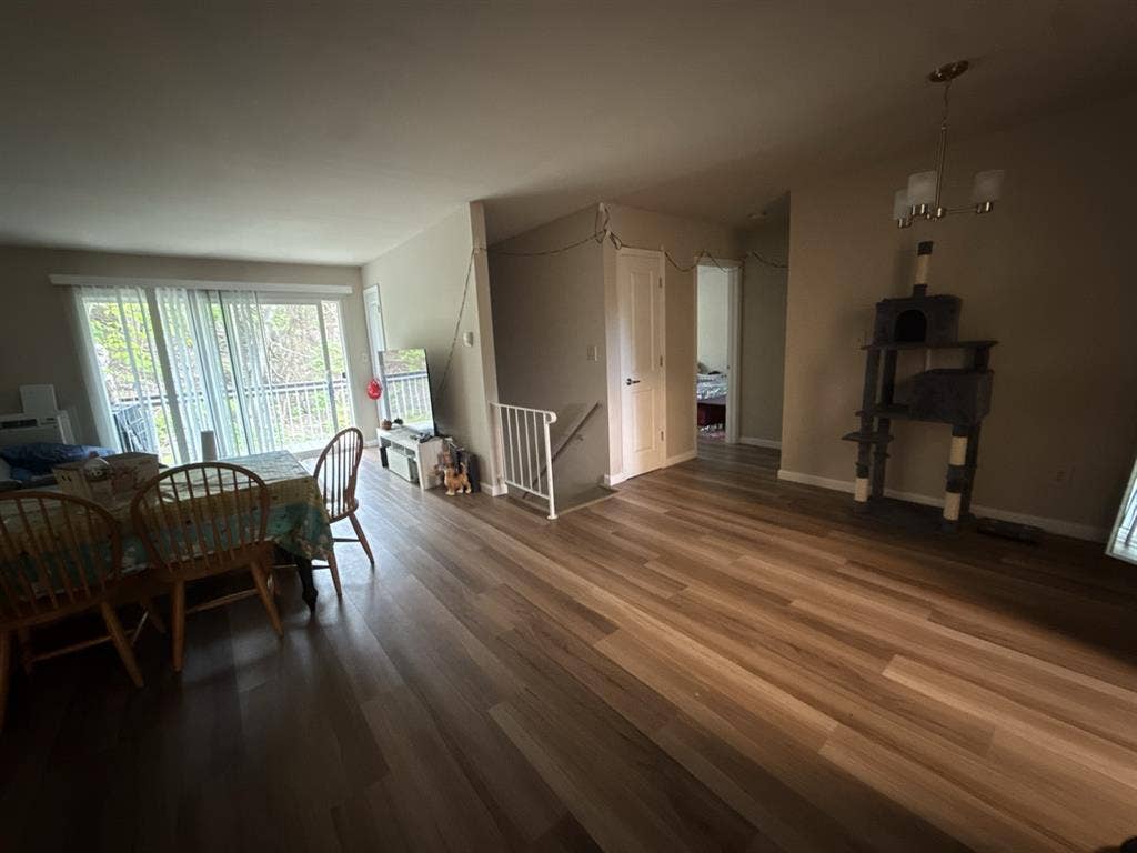 Roommate Needed!