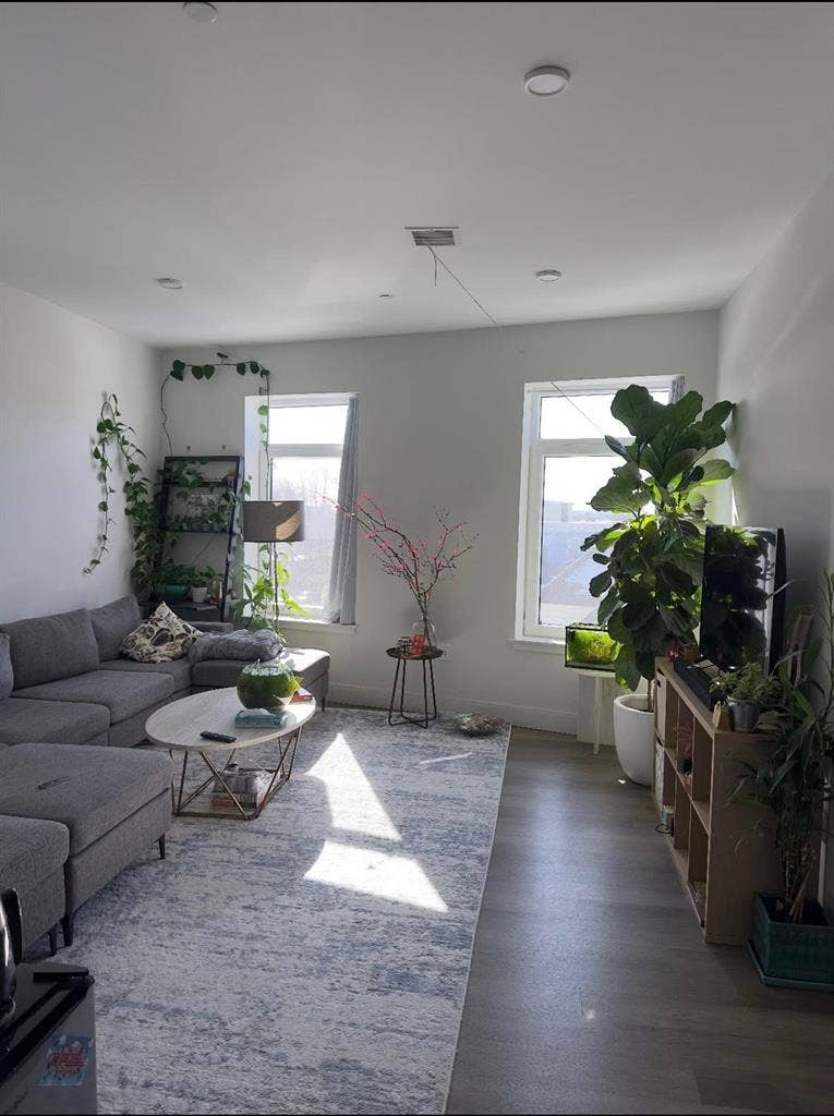 New Listing
