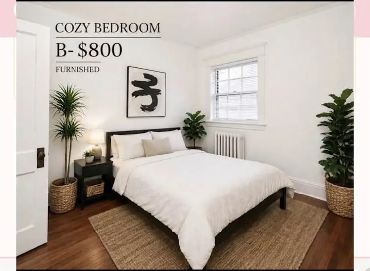 3 rooms available owner occupied