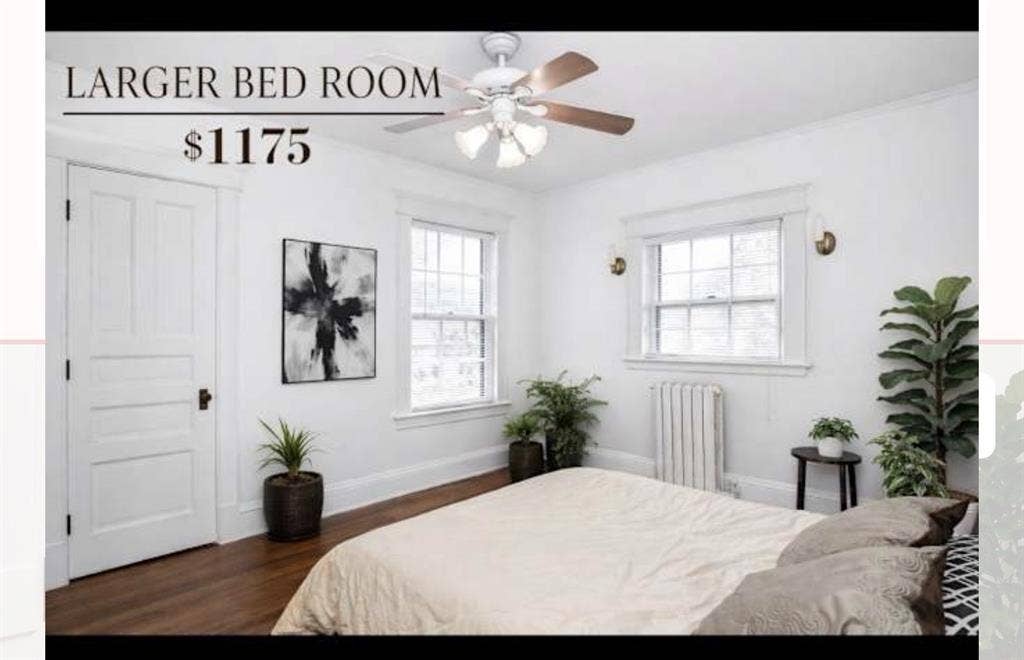 3 rooms available owner occupied