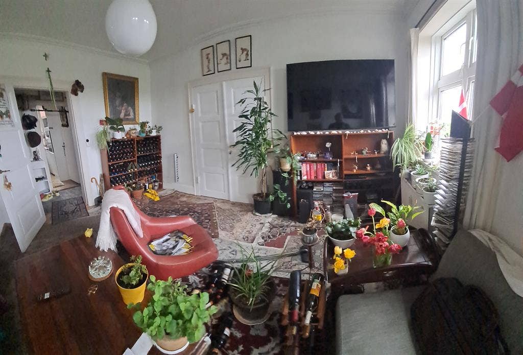Cosy room in Østerbro
