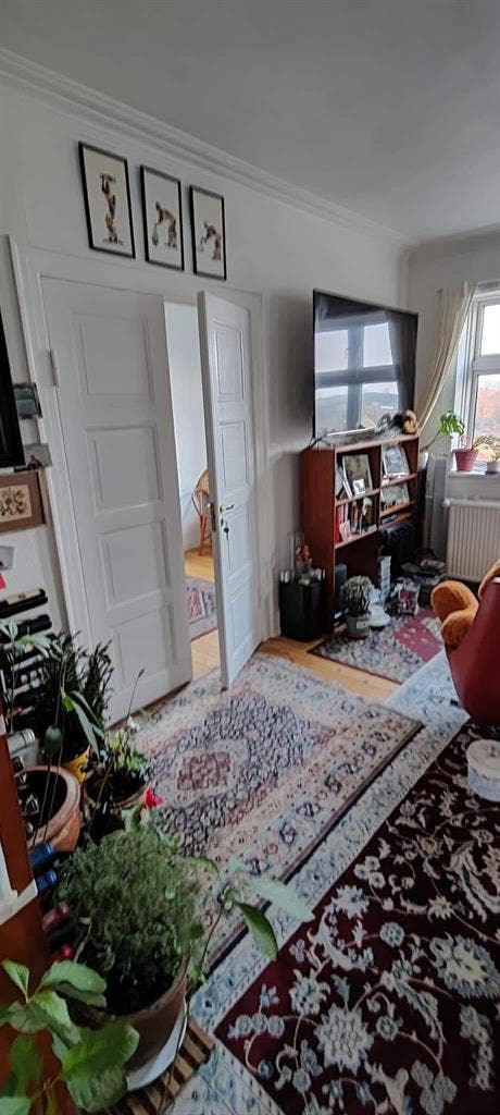 Cosy room in Østerbro