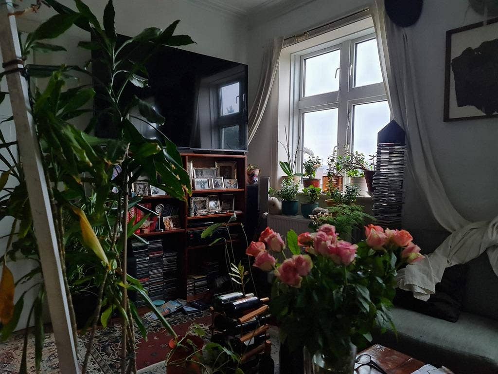 Cosy room in Østerbro