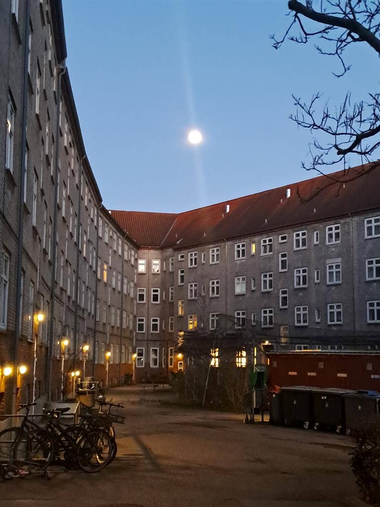 Cosy room in Østerbro