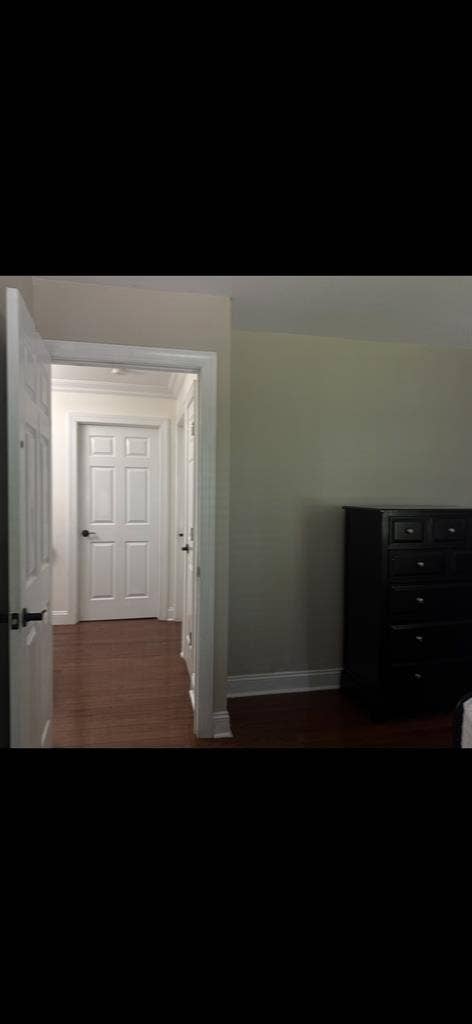 Large room in freehold township