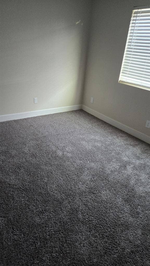 Looking for roommate
