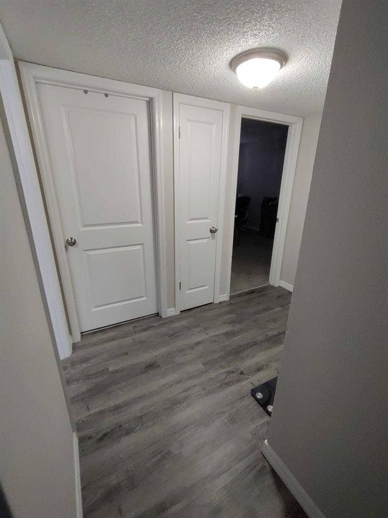 Looking for someone to move in July