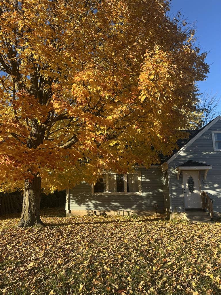 looking for roommate!