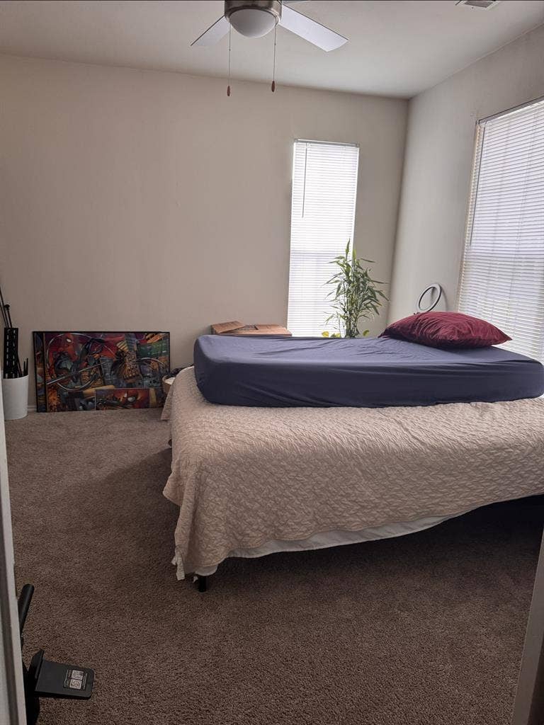 Cary Roommate Wanted