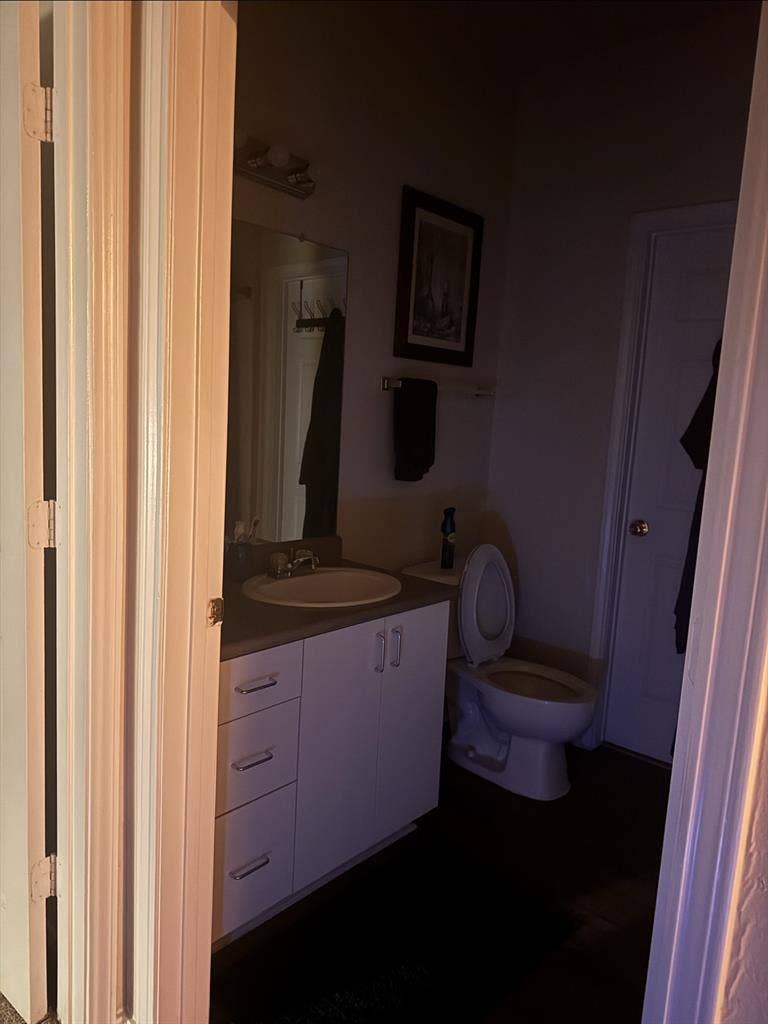 Cary Roommate Wanted