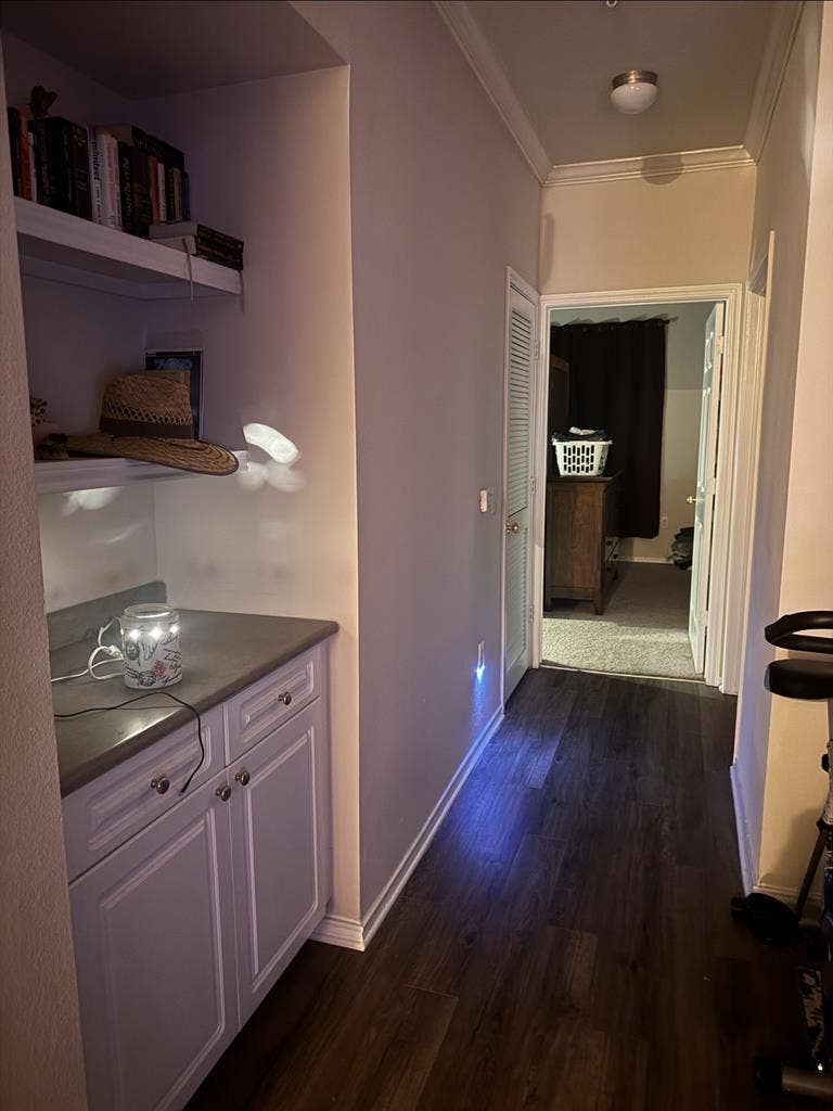 Cary Roommate Wanted